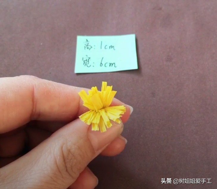 利用废酒瓶做的盆景,用废弃的缸做盆景