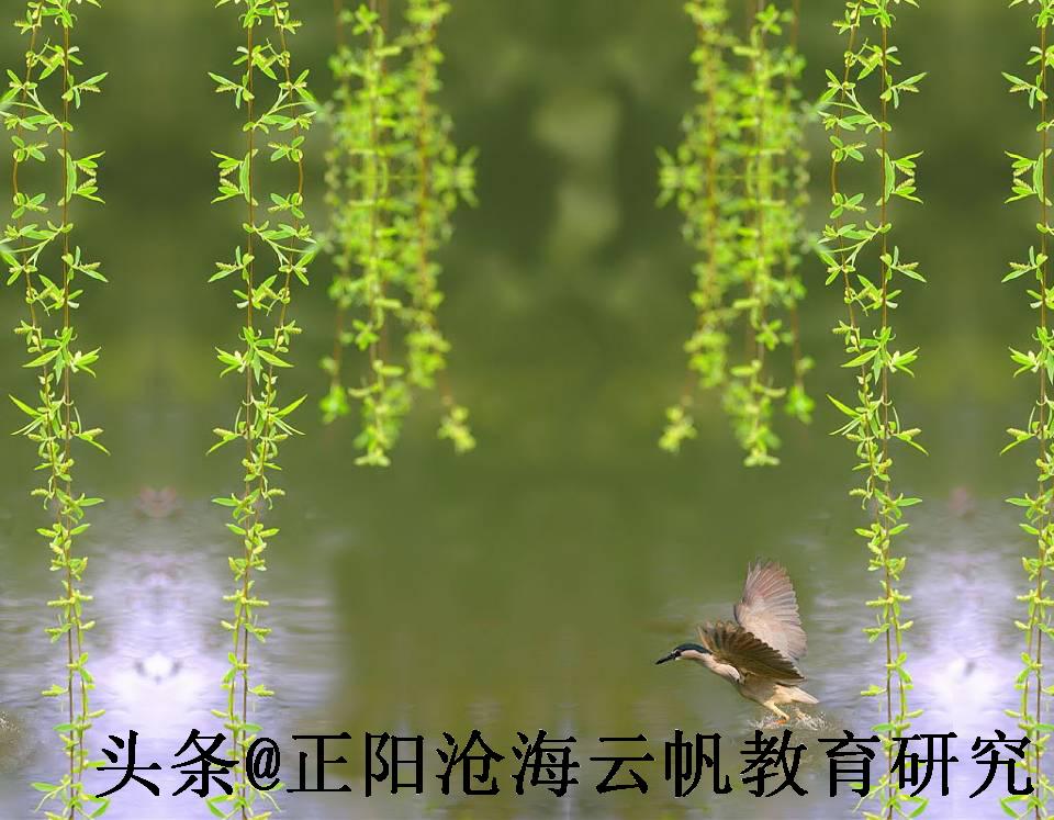 微教研课题,微课堂一年级