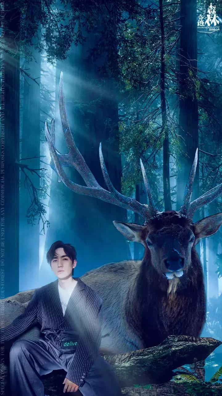 壁纸大合集动漫,壁纸合集动态