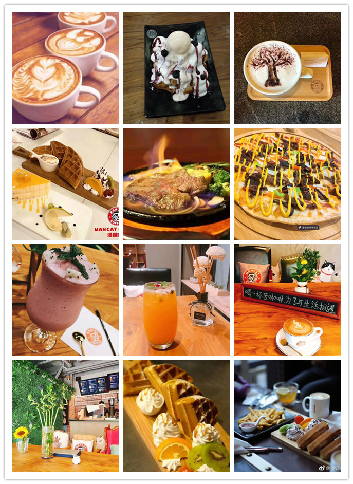 漫猫咖啡官网,咖啡品牌漫猫咖啡