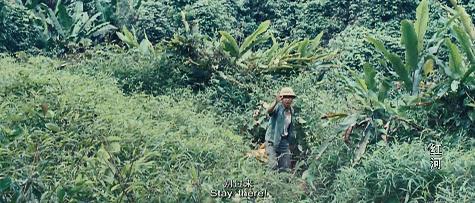 装疯卖傻的张静初，怎么这么多人喜欢？