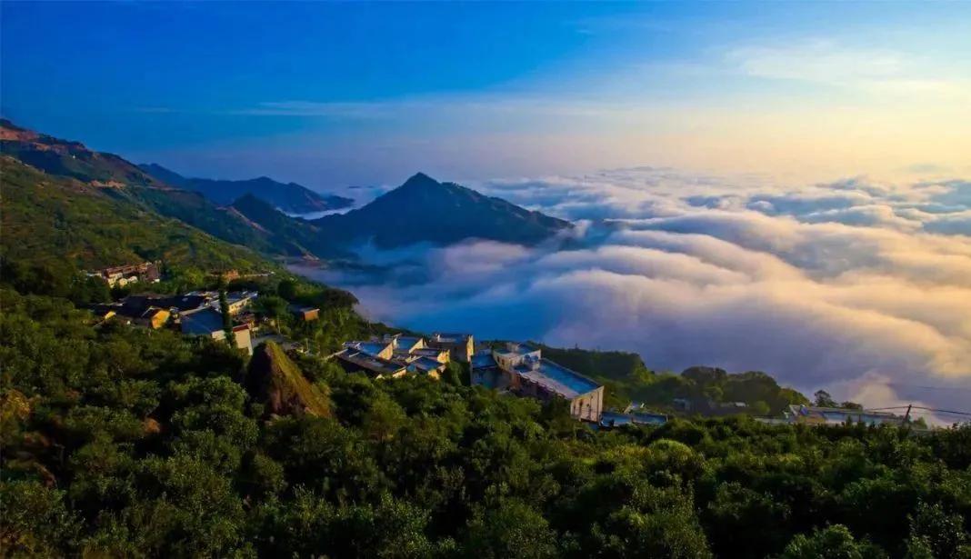 测评|岁月雕刻的冰岛熟砖，喝它简单又舒适