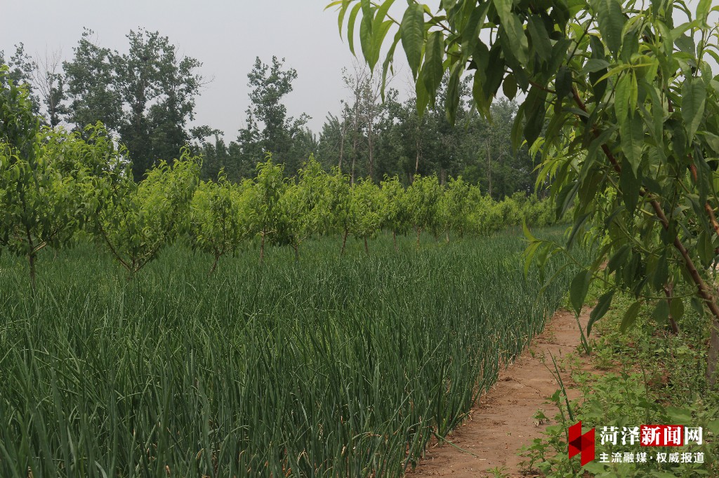 山东郓城农村环境整治,郓城县环境整治
