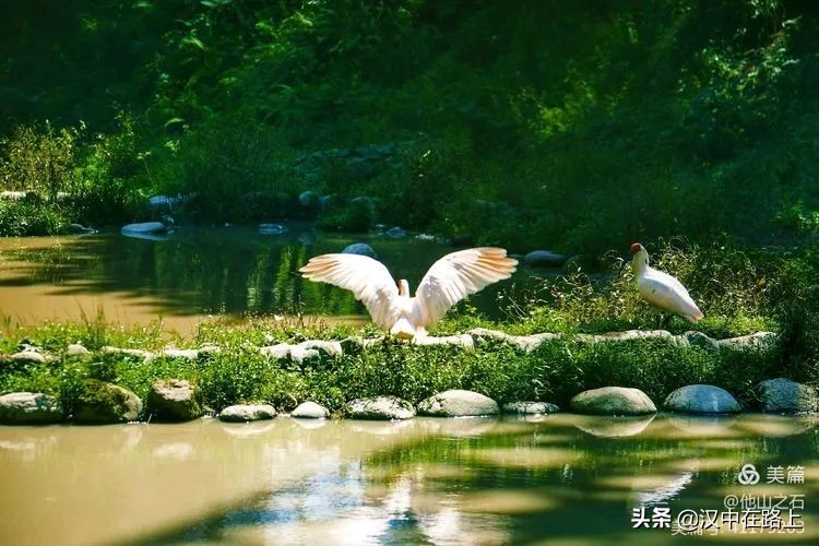 汉中户外遛娃好去处排行榜,汉中遛娃旅游景点有哪些