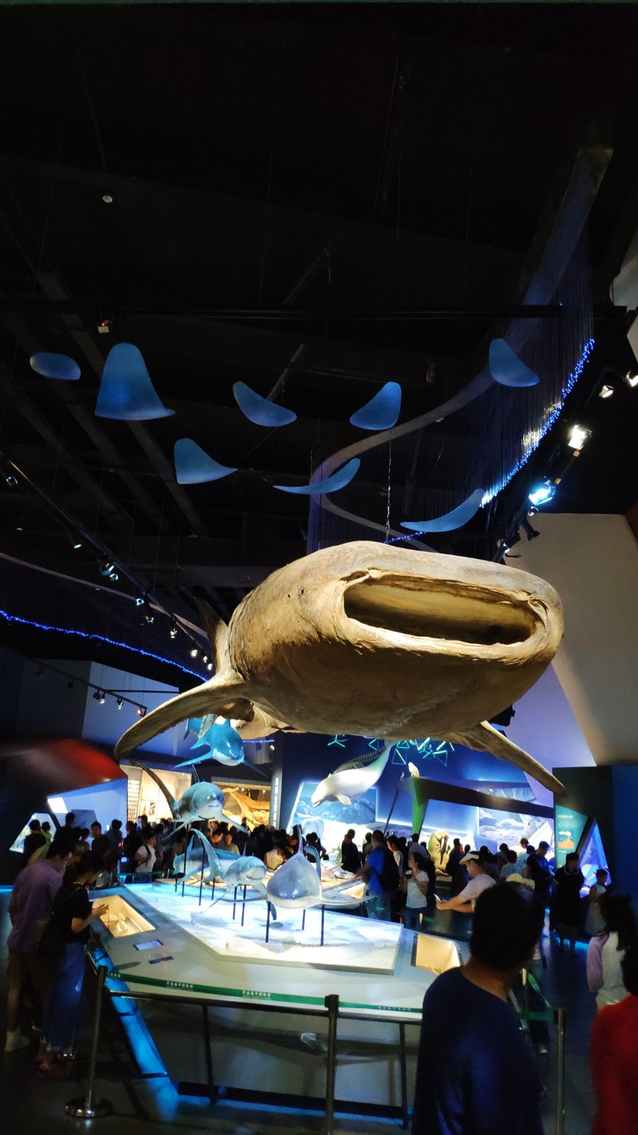 海洋博物馆带孩子游玩攻略,国家海洋博物馆最全攻略来了