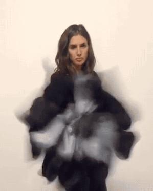 「论坛」小区里面的25个养狗的人，开会讨论zezeze