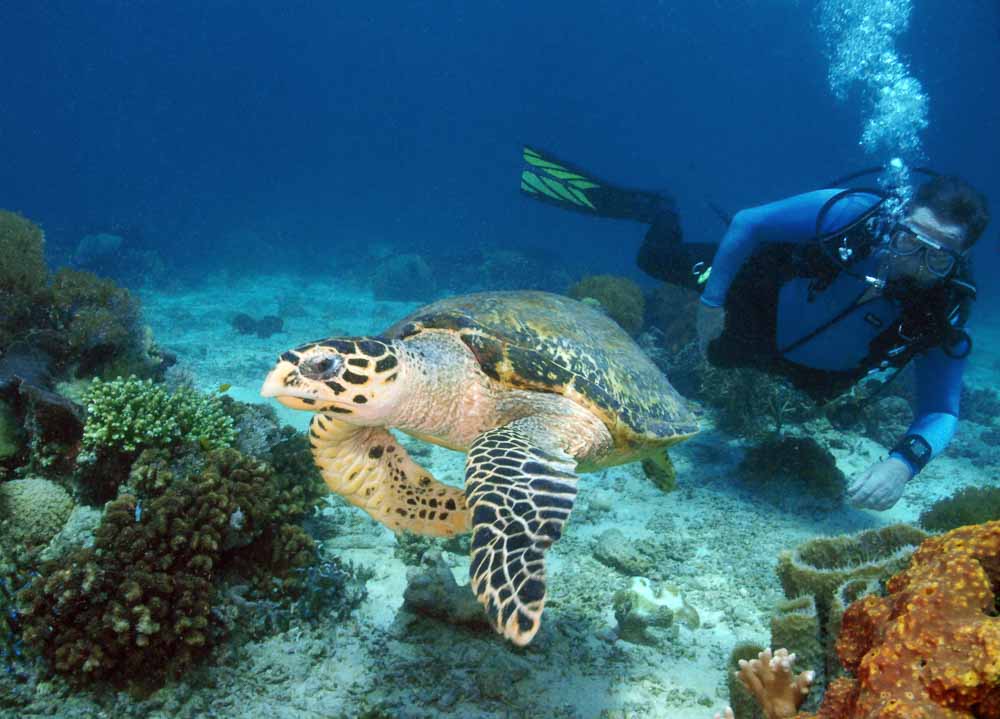 人少免签海岛,人少风景好的国家