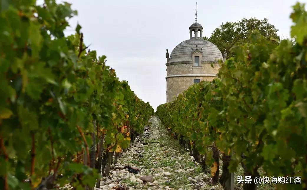 拉图城堡2017红酒,拉图城堡红酒怎么样