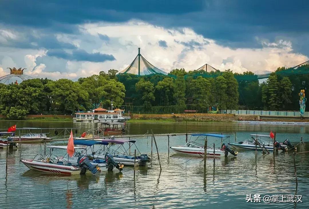 武汉人对长江的感情,为什么说武汉对外地人友好