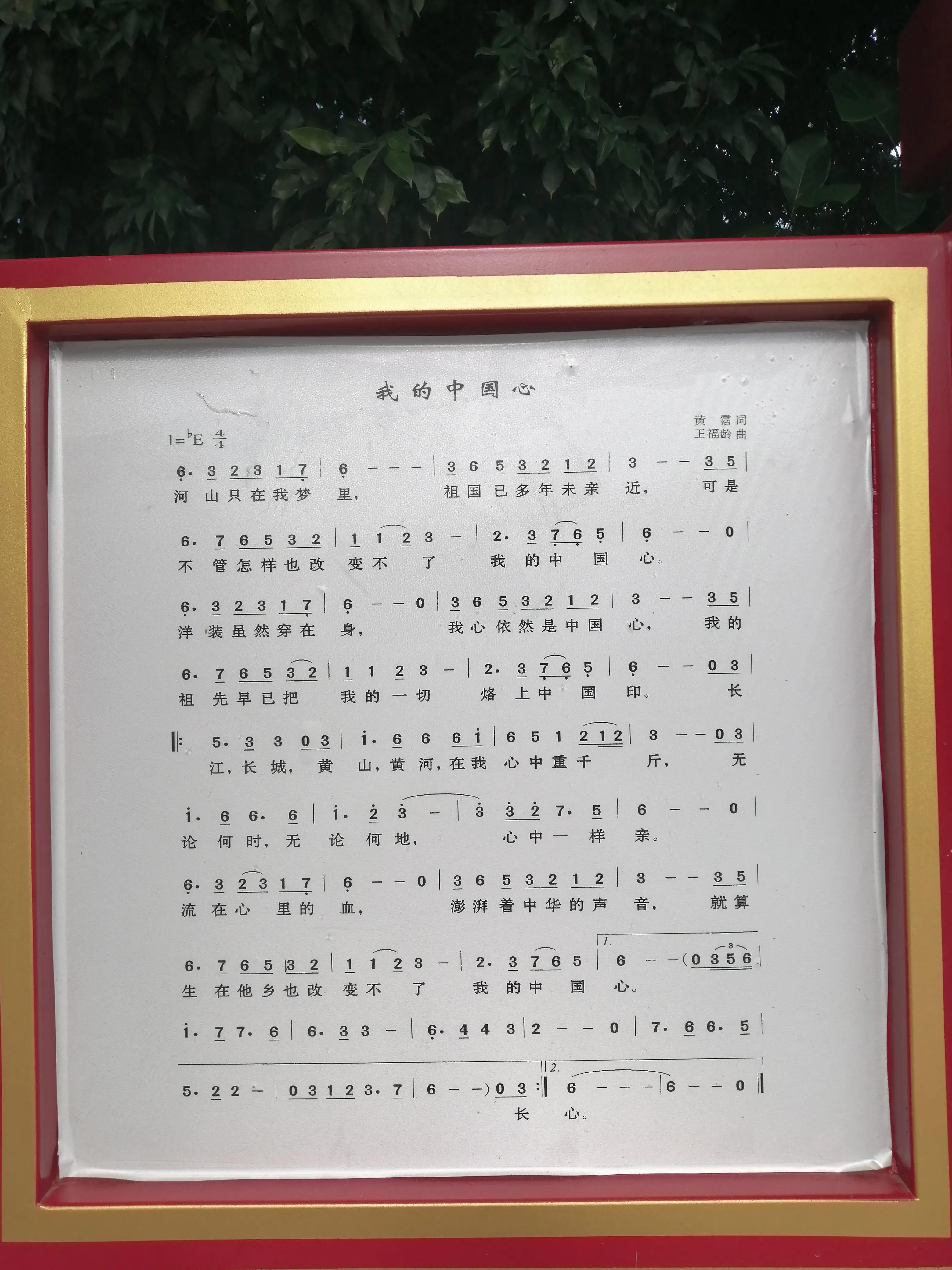 景洪市西双版纳风情园视频,西双版纳景洪市民族风情园