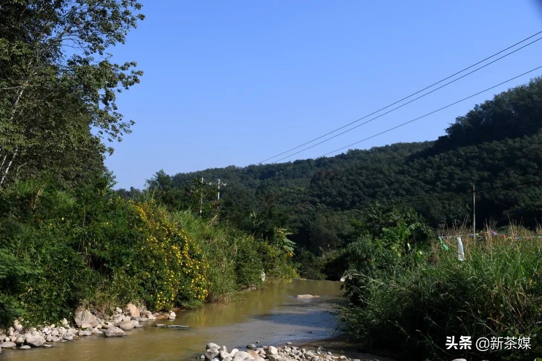 南糯山有什么景点,南糯山有哪些景点