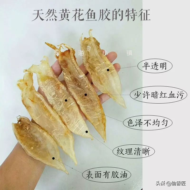 怎样选的花胶是正宗的,怎样辨别花胶真假市场上的花胶