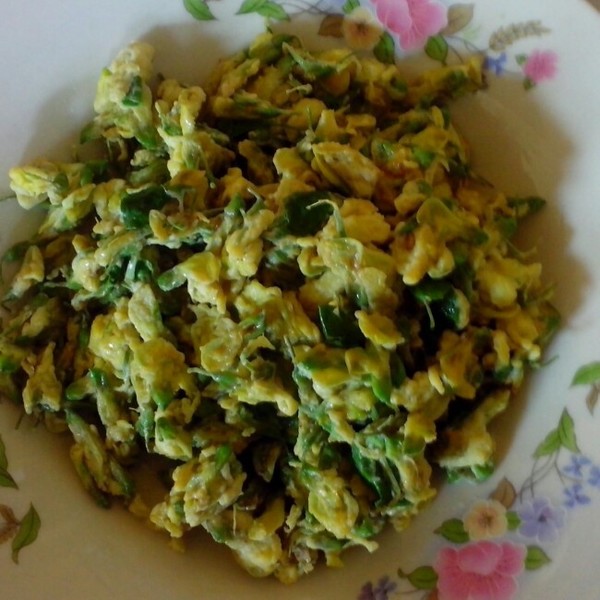 春天的野菜真好吃,时令野菜味道好极了