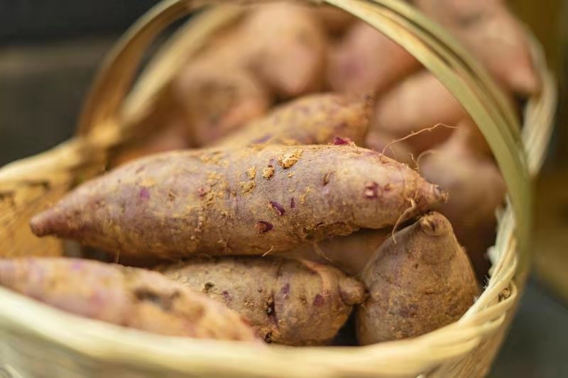 国际公认的原生态食品,原生态的好产品值得购买