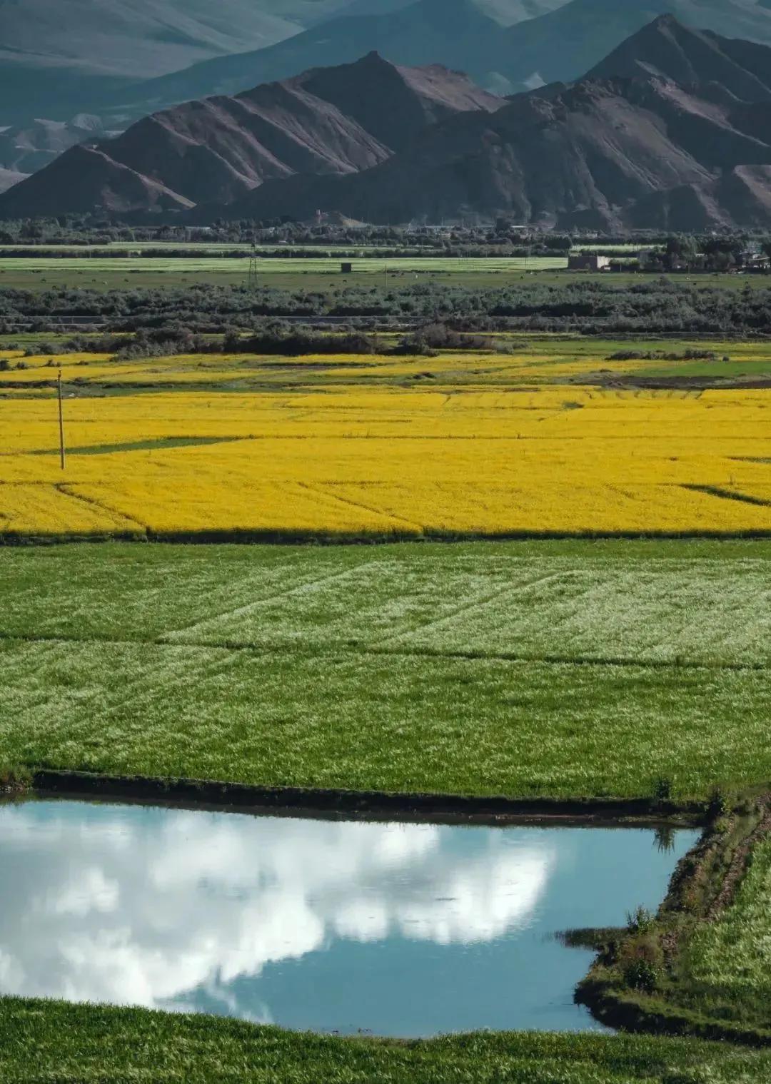 日喀则一座宝藏之城,日喀则日光之城