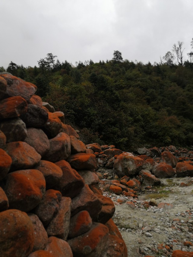 大美川西贡嘎燕子沟,甘孜燕子沟二日游攻略