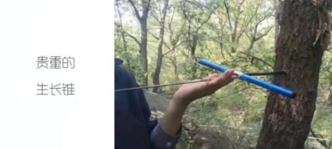 北京最大的大学：坐拥国家3*级A**景区，宿舍电视、空调、独卫浴俱全！