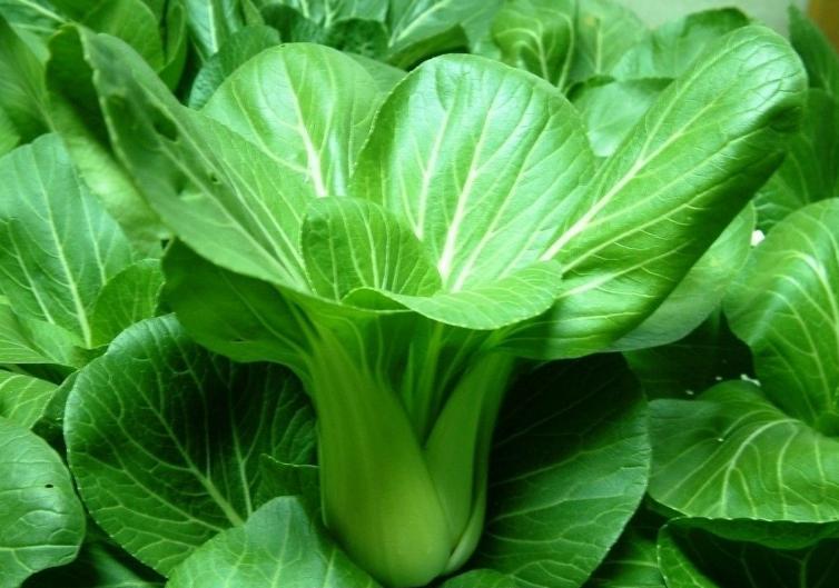 炒菜煲汤盐放多了怎么办?加水你就错了,大厨告诉你正确处理办法