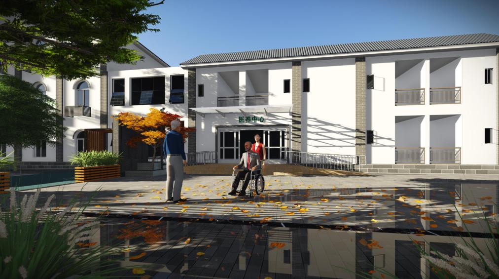 新津县公立卫生院,成都市医疗卫生服务体系规划