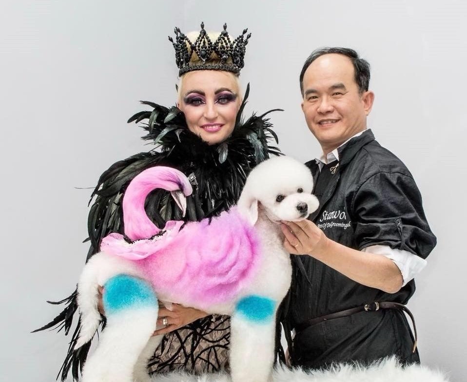 建议收藏|长城世界宠物美容大会（CGGC）全攻略