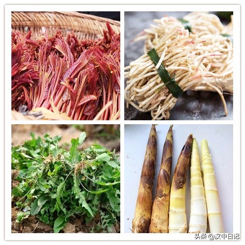 吃掉春天这件事，只有汉中人才懂！