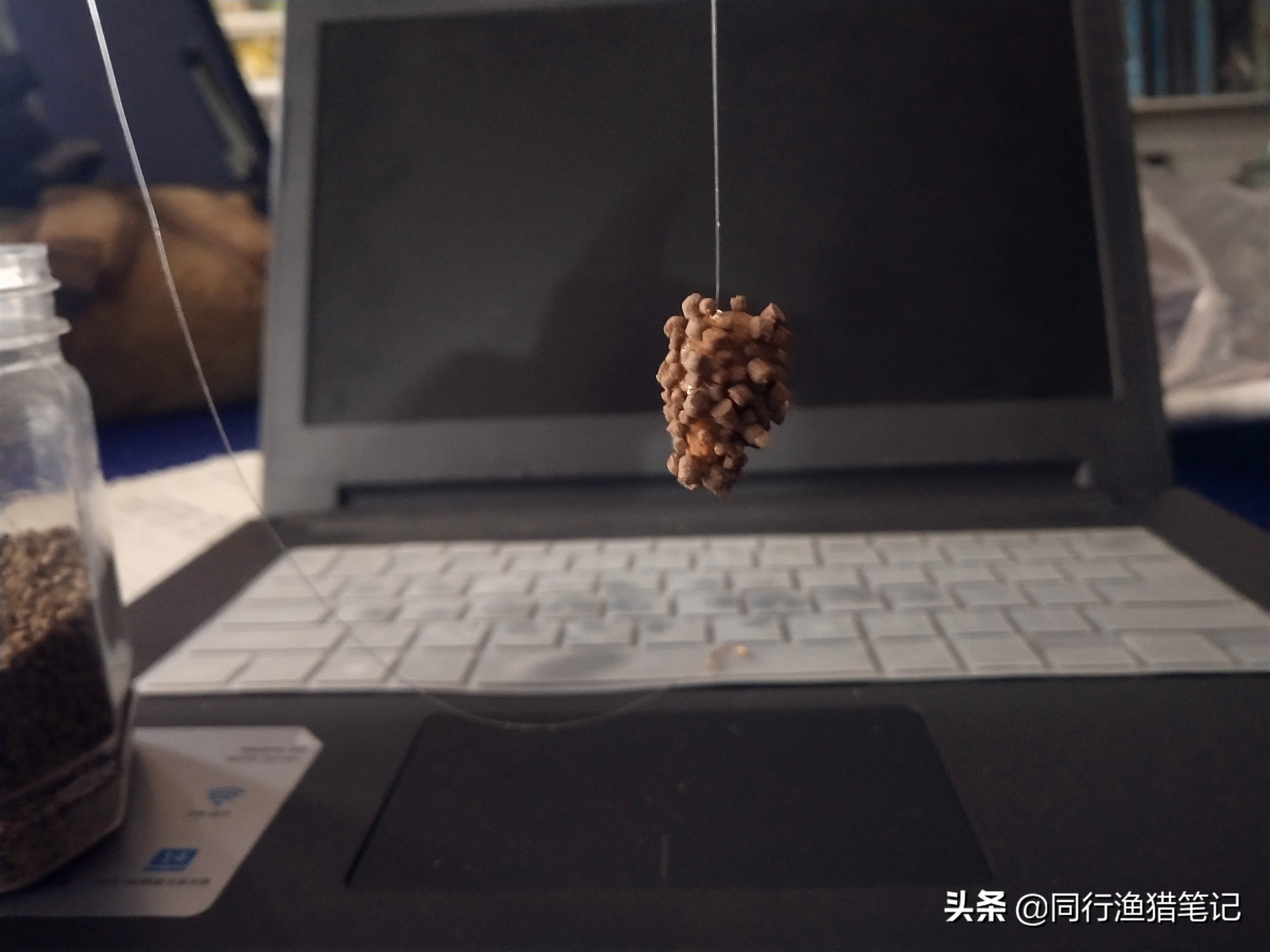 黑坑偷驴好用的饵料,黑坑偷驴时三种常用饵