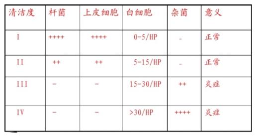白带常规化验前注意事项,白带常规检查前能用药清洗外阴吗