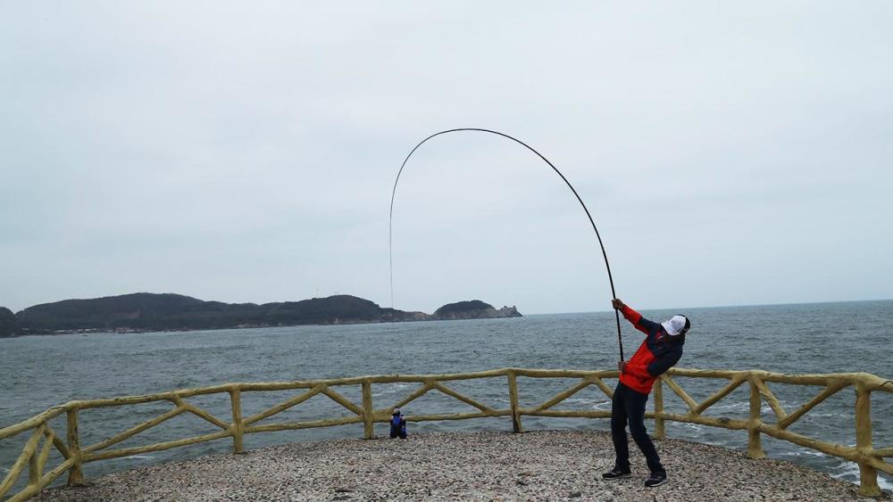 鱼竿的价格是怎么打下来的,鱼竿的价钱是如何打下来的