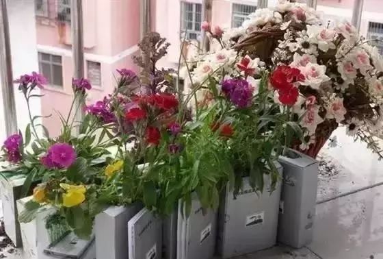 农民发家致富好点子,农村创业新点子十大暴利行业