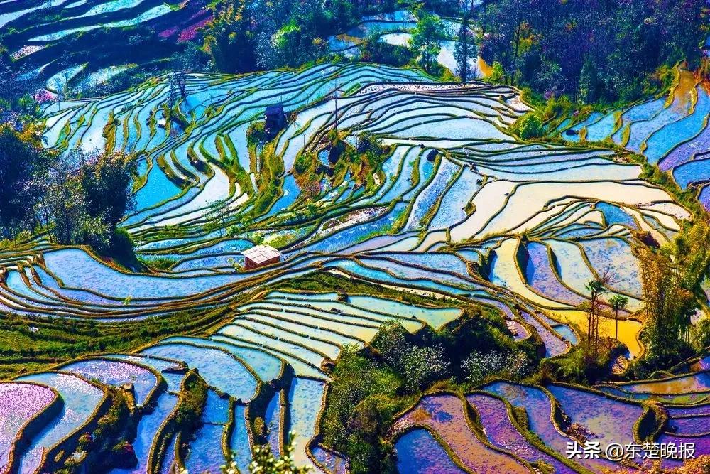 元阳梯田脱贫,红河哈尼族彝族自治州扶贫