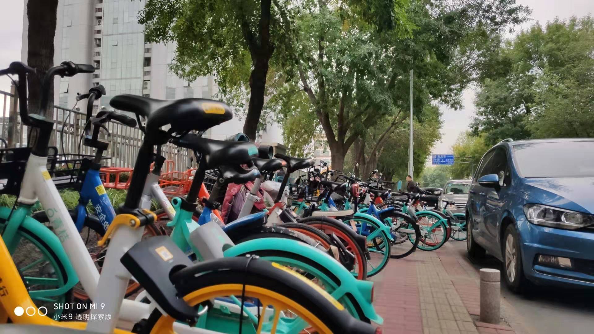 曾经属于小黄车的西二旗正在一点点被“绿”