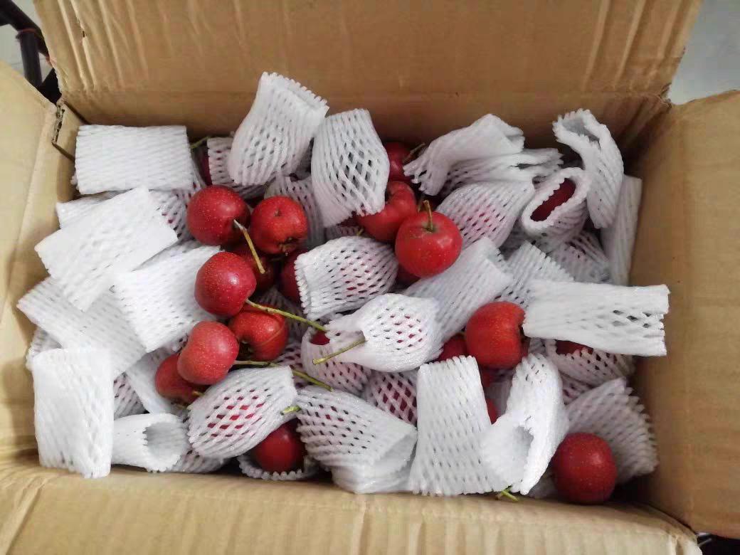 有4种能降血压蔬菜水果买来吃,什么水果干果降血压效果最好最快