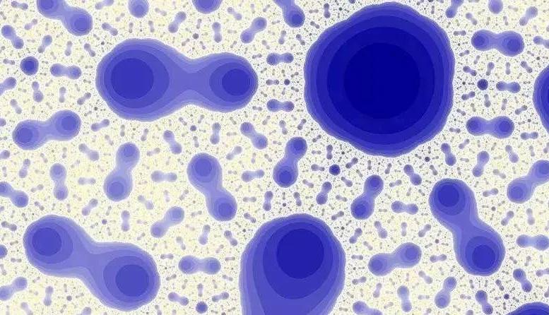 生活用品日常清洁小妙招,日常生活卫生如何打理好