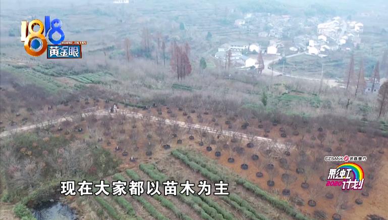 算钱“小迷糊”泥泥的进山体验记​#2020彩虹计划#