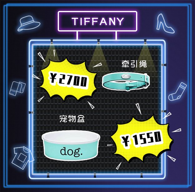 看到它3万块的项圈后，月薪3000的我瑟瑟发抖……