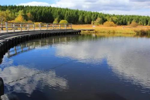 坝上三大景点,坝上草原是丰宁还是围场的
