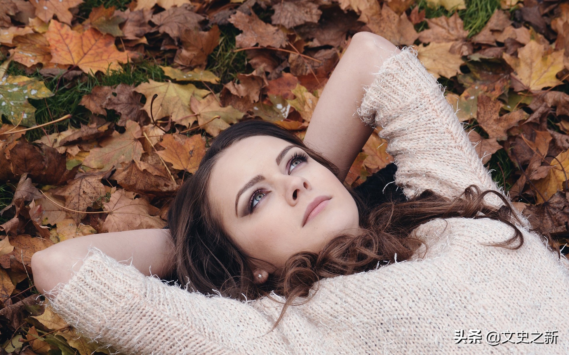 荷兰宣布性合法后遗症,荷兰交易合法引发的问题