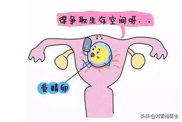 怀孕初期能种地吗,怀孕后土壤不肥沃怎么办