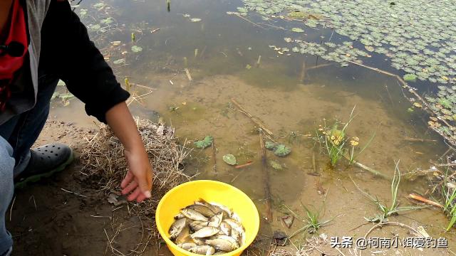 送给钓鱼人的建议:分享六个小妙招解决烦人的小杂鱼