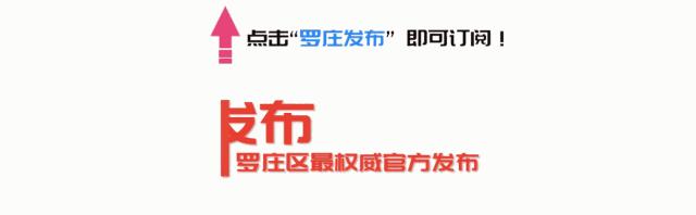 罗庄生活怎么样,罗庄哪几个村最好