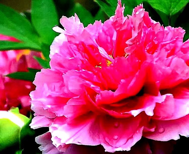 2019年快要结束的感悟,2019马上过去了