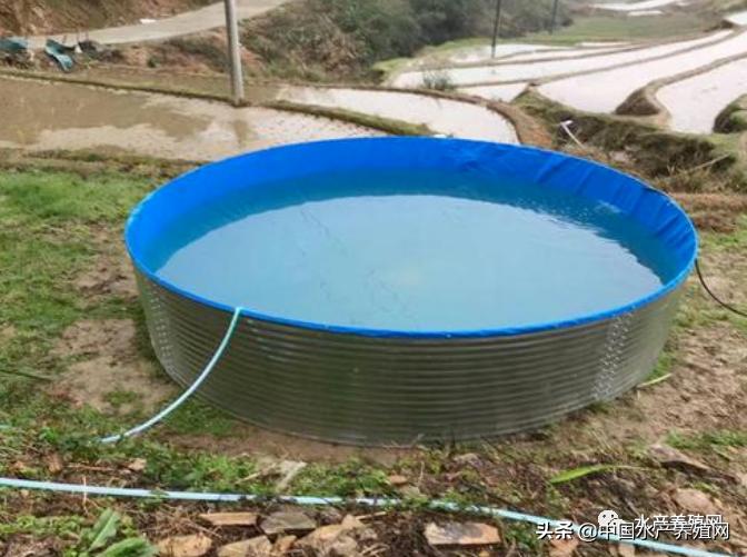 帆布池养殖要注意哪些,为什么很多人帆布池养殖都失败了