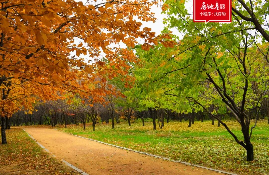 不一样的画风,不一样的风格画风