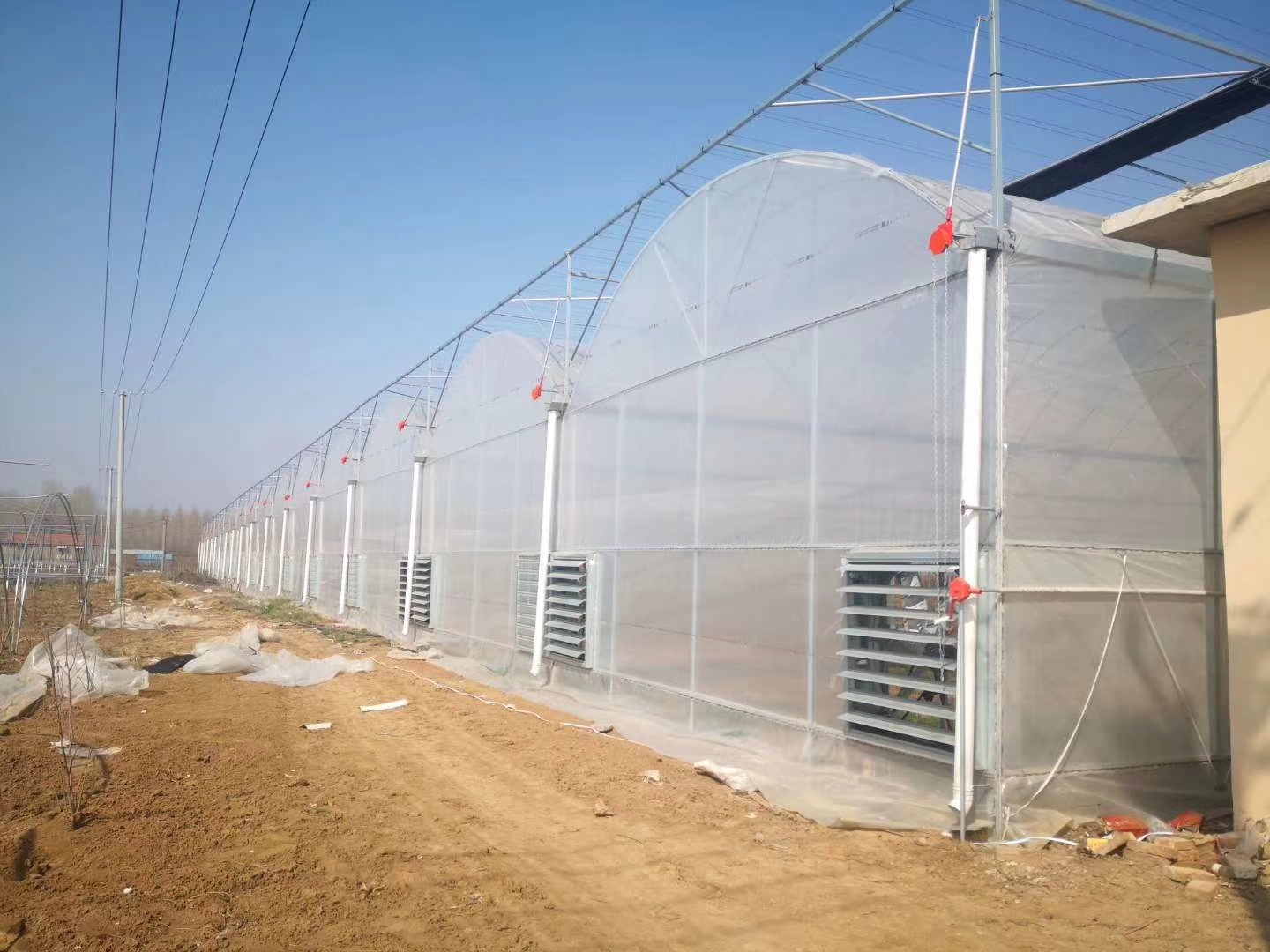 各种蔬菜大棚的种植时间和方法,蔬菜大棚种植技术主要注意哪些