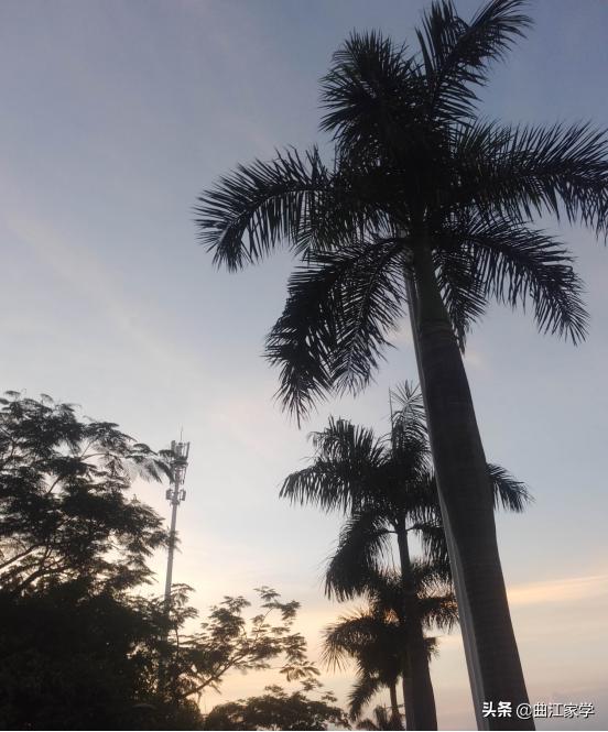 云腾致雨千字文朗读,千字文云腾致雨动画解释