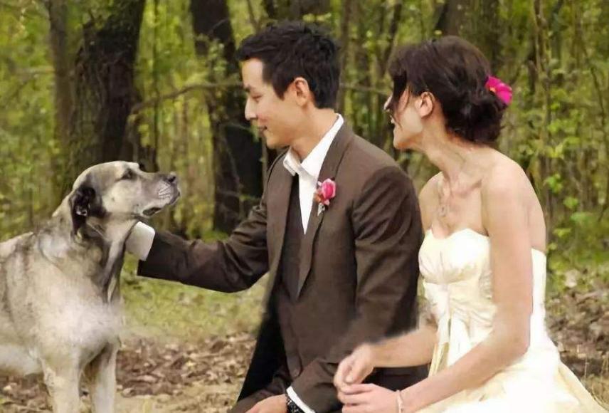 撤侨令重拳下,“禁欲男神”吴彦祖“藏”不住,一家人皆是美籍