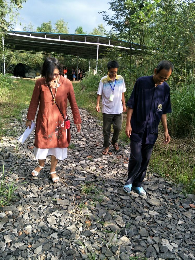 种地用的自制酵素,酵素种地效果怎么样