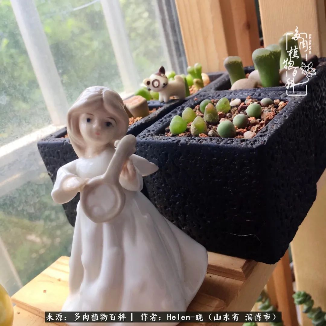 人到中年温暖如初,人到中年岁月静好