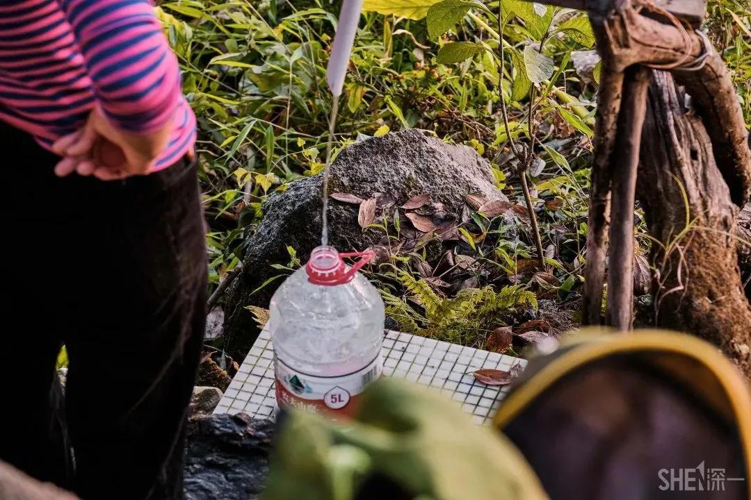 深圳首条手作“原始登山道”,人少好爬景色超美…过年去哪不用愁