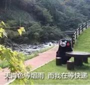 海淘知识普及篇,跨境科普